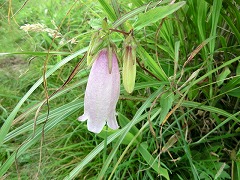 �z�^���u�N���@���ǎR