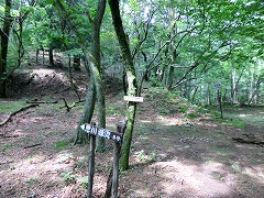 �v�쌹���ւ̈ē�