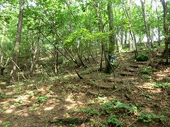 �E��Ɏ񌇂��n��