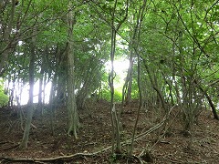 �R������