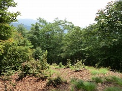 ���_�R���W�]