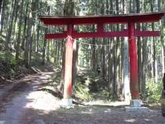 �I���_�АԒ���