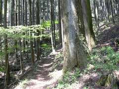 �{�a����̓o�R��