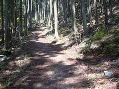 �R���N���[�g�̓���o��