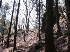 ���邢����