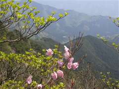 �A�J���V�I�@�I���R