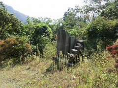 �����̍L���