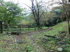 ���׋��ւ̉���