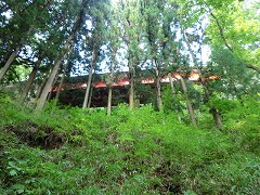 ���_�V��