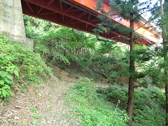 ���̉���