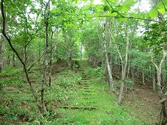 �ۂނ����Βi