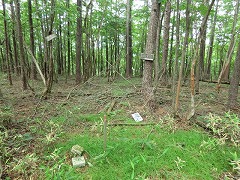 ���_�R�R��