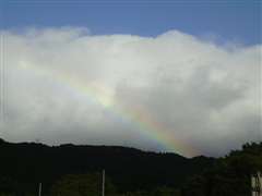 �������ʂɂ������