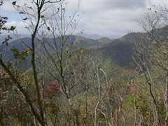 ���������R