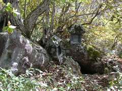 �R���̐��K