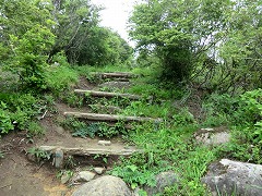 �����R���ւ̊ۑ��̊K�i