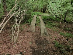 �ؓ��������