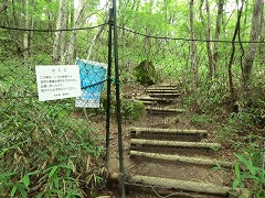 �������l�b�g����o�܂�