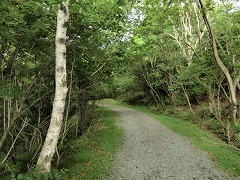 ��������߂�