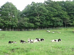 �O�����q��̋�