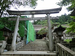 �Β����ƎQ��