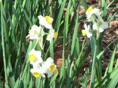 �X�C�Z���@�݂����R