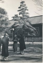 �����w�Z�@�g��p��