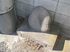 �������N�̍M�\��