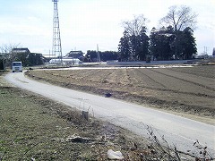 �ޕ��ɐԏ�_��