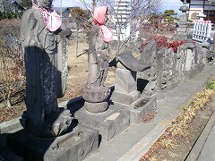 �M�\����