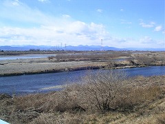 �L���A������