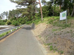 �R�����̓�