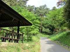 �����Ȏ钹��