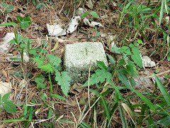 �l���O�p�_