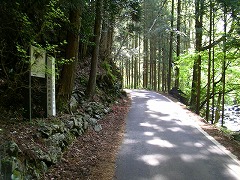 �ː��쉈���̓��[��