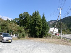 �����P�Q�Q�������̓��c�_