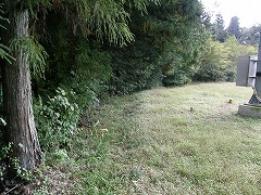 ���̘e��i��