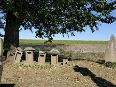 ���Ԑ��K�Q