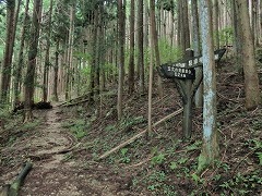 ���W����