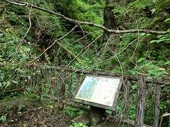 �܏�̑���e��