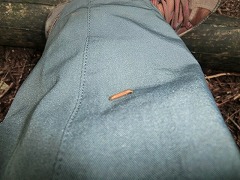 �p���c�ɕt�����R�r��