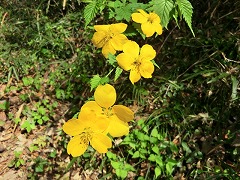 ���}�u�L�@������