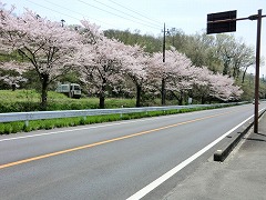 �T�N���@������