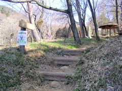 �e�������o�R��