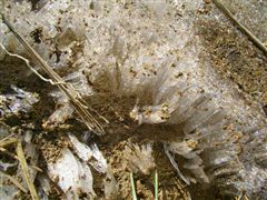 �R���̑���