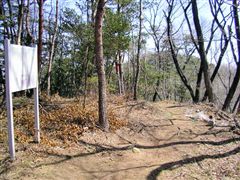 �������q�R�̖�q��̈ē���