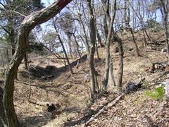 �唪���q�R��