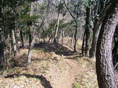 �������։���