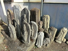 �ʋ�������