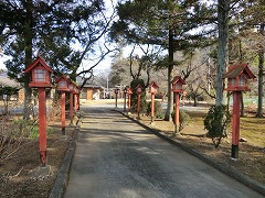 �����_��